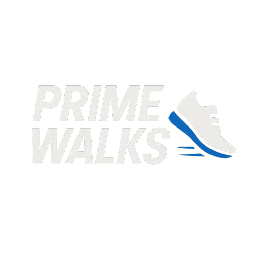 Prime Walks