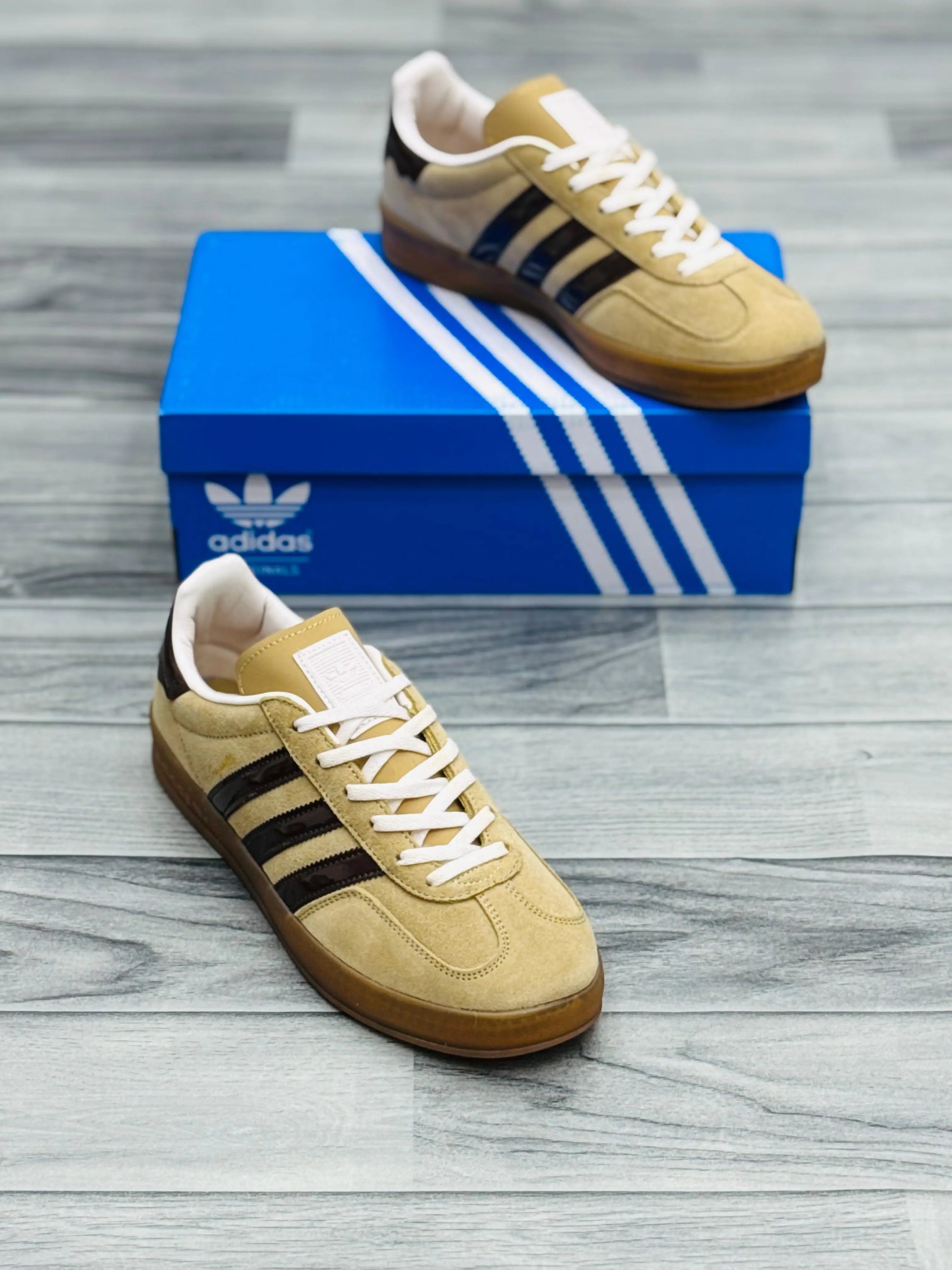 Adidas Gazelle - Beige Prime Walks